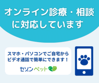 セゾンペット