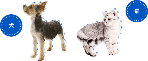 犬・猫